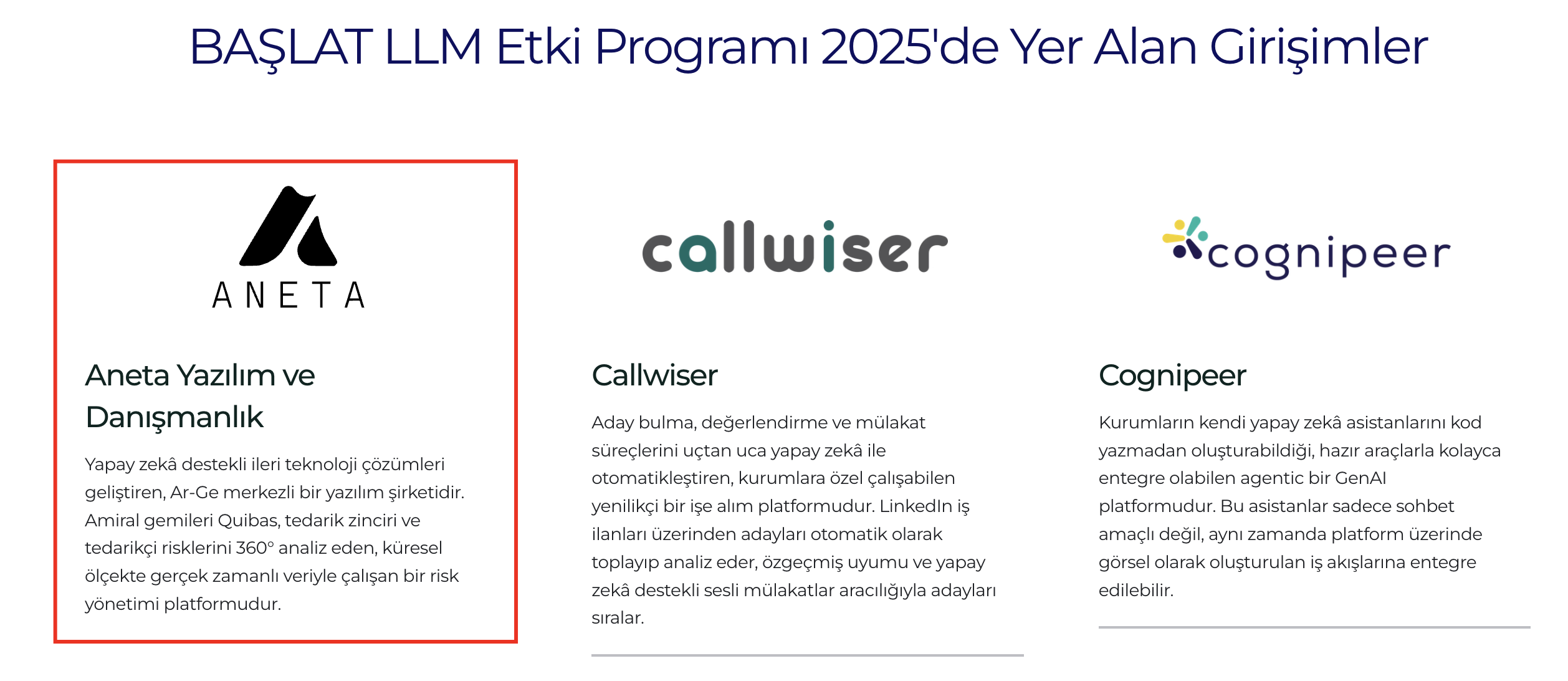 AI Geliştirme Atölyesi